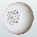 https://www.bossgoo.com/product-detail/3-6w-pa-surface-mount-ceiling-61687110.html